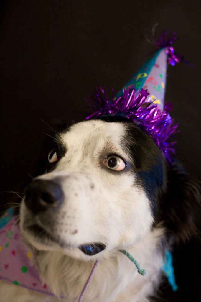 Kya's seventh birthday_06122011_016lr
