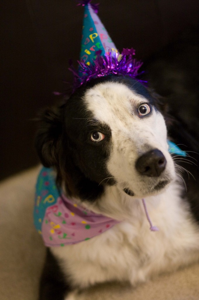 Kya's seventh birthday_06122011_019lr