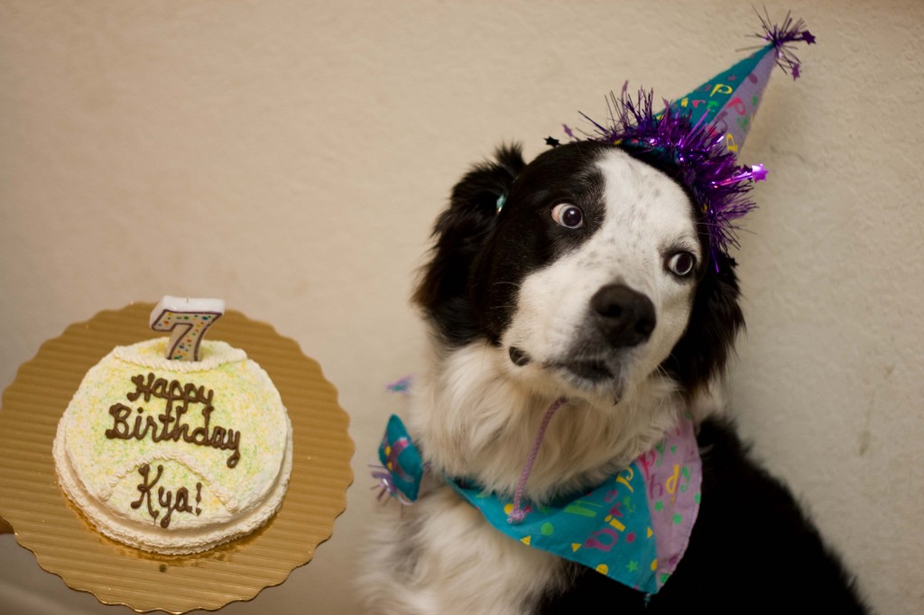 Kya's seventh birthday_06122011_029lr